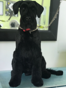 milo