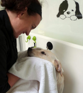 Dog bath with owner of Grooming On The Green